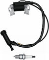 420cc Ignition Coil + Spark Plug Throttle Springs for Honda GX240 GX270 GX340 GX390 Predator 301cc 302 8.0 9.0 11.0 13.0 Hp Engines