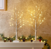 2FT Birch Tree with LED Lights, Warm Light up Lamp, Fairy Light Spirit Tree for Xmas Home Table Fireplace Mantel Decor Christmas Decorations, 2pcs