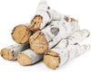 Gas Fireplace 6pcs Large Size Ceramic White Birch Wood Inserts Logs for Vented, Ventless, Electric, Propane Gas Fireplace Fire Pit Firebowl